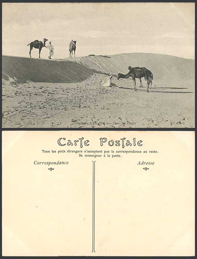 Egypt Old Postcard SAHARA DESERT Camels Sand Dune Native Bedouins Dans les Dunes