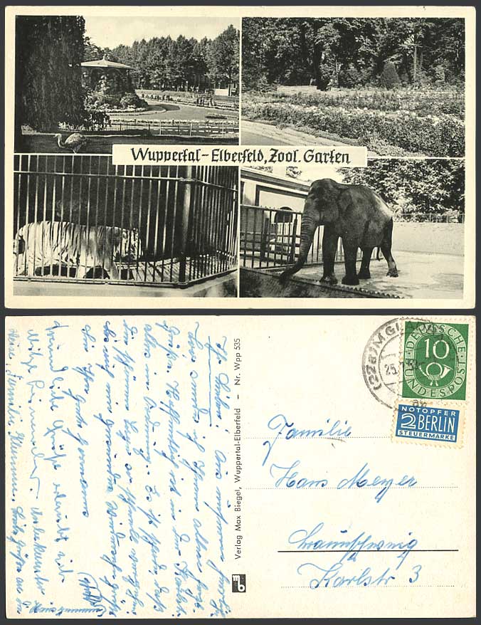 Germany 1953 Old Postcard Wuppertal Elberfeld Zoo, Elephant Tiger Bird & Gardens