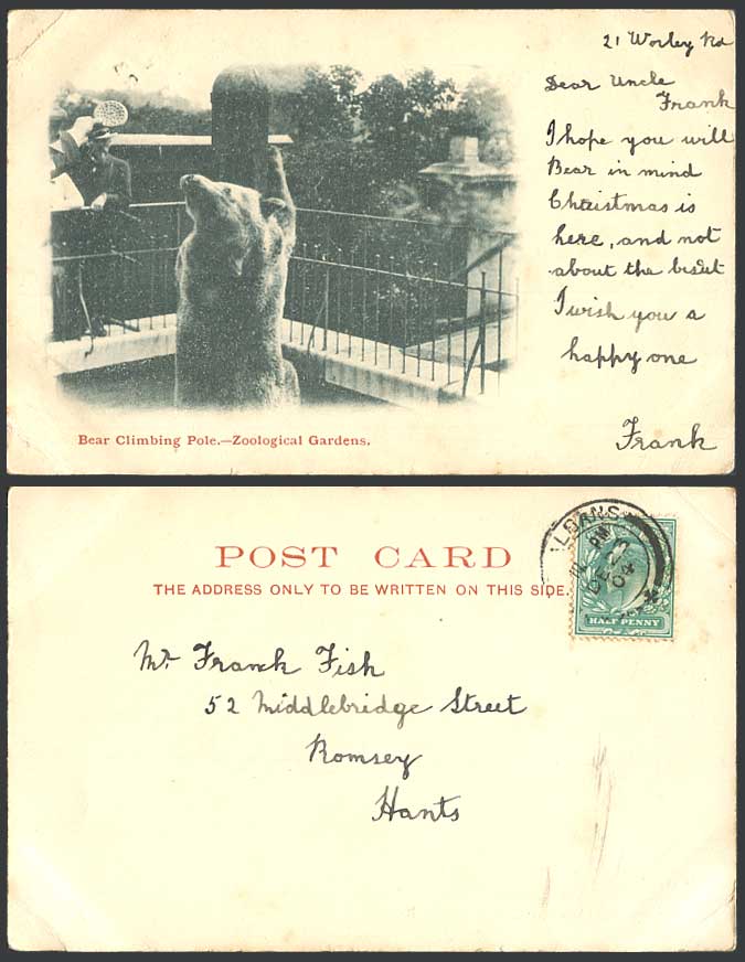 Bear Climbing Pole KE7. 1/2d 1904 Old UB Postcard Zoo Animals Zoological Gardens