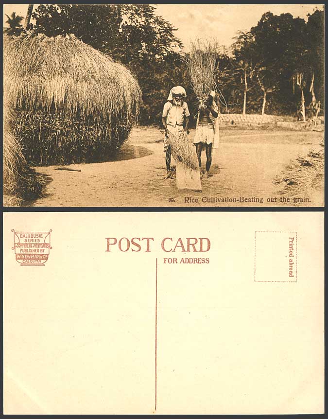 India Old Postcard Native Farmers Rice Cultivation Beating Out the Grain, Ethnic