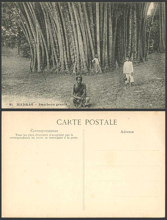 India Old Postcard Giant Bamboo Trees MADRAS Bambous Geants Native Men Young Boy