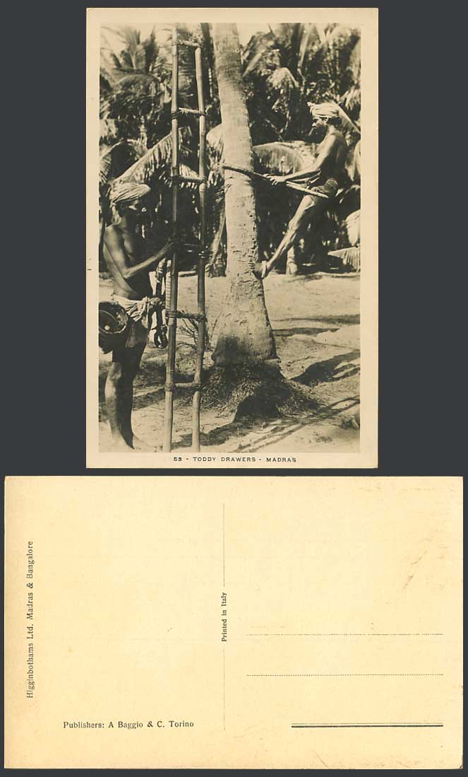 India Old Real Photo Postcard Madras Toddy Drawers, Native Tree Climber & Ladder