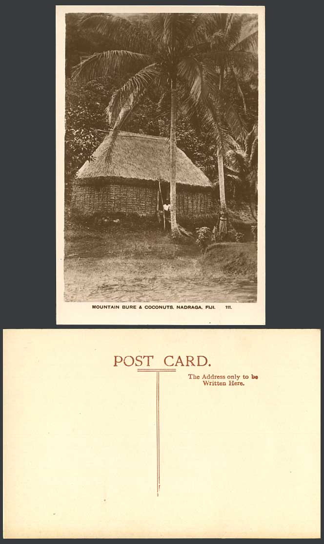 FIJI Old Postcard Mountain Bure & Coconuts, Nadraga Nadroga, Native Fijian House
