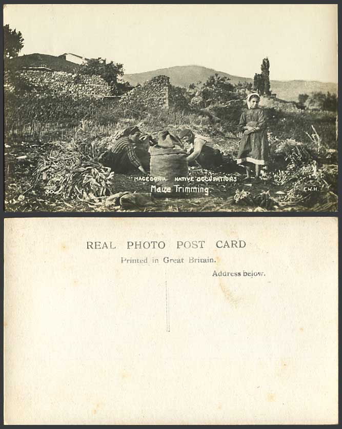 Macedonia Native Occupations, Corn Maize Trimming Greece Old Real Photo Postcard