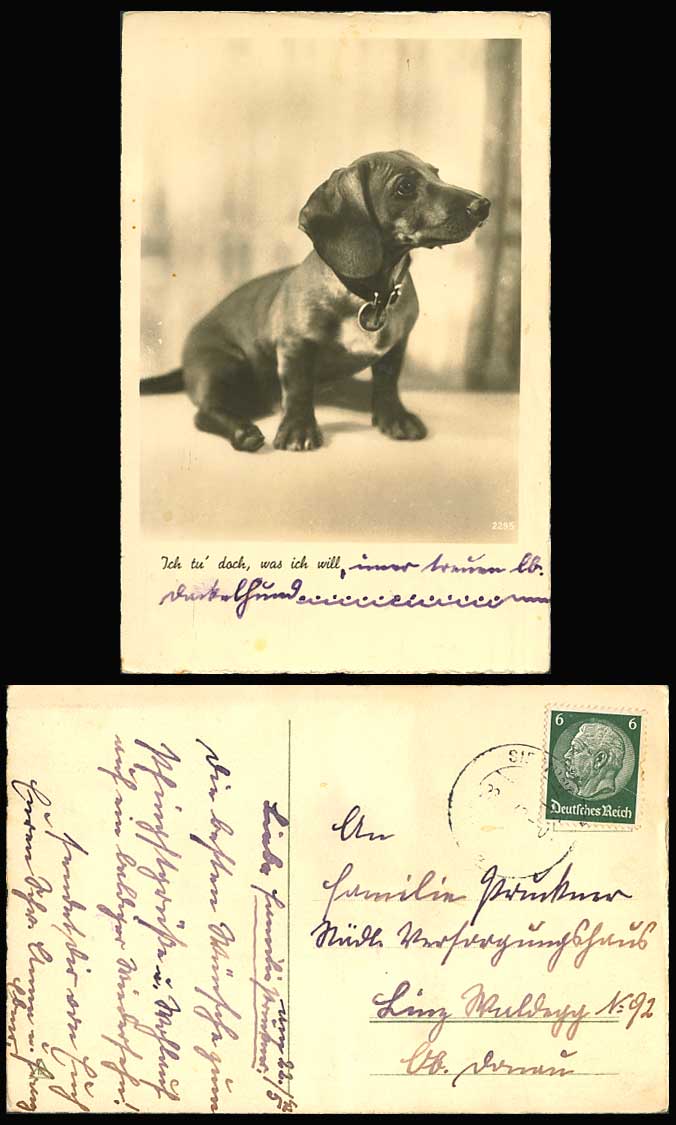 Dachshund German Sausage Puppy Dog Collar, I'll Do What I Want 1942 Old Postcard