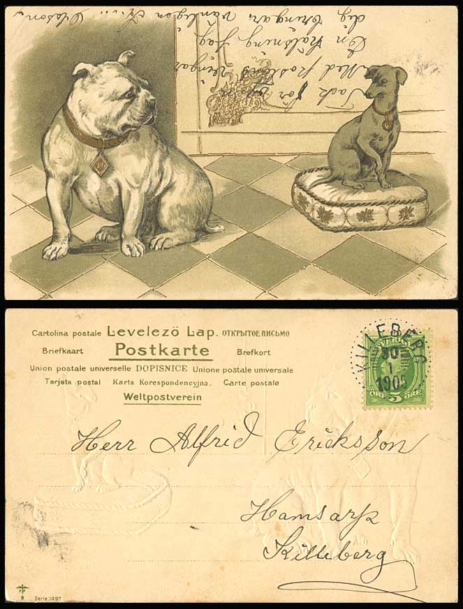 Bulldog Bull Dog Dachshund German Sausage Puppy Dogs Sweden 1905 Old UB Postcard