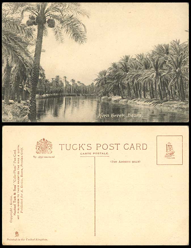 IRAQ Old Tuck's Postcard BASRA Kora Creek River Scene Dates Palm Trees Panorama