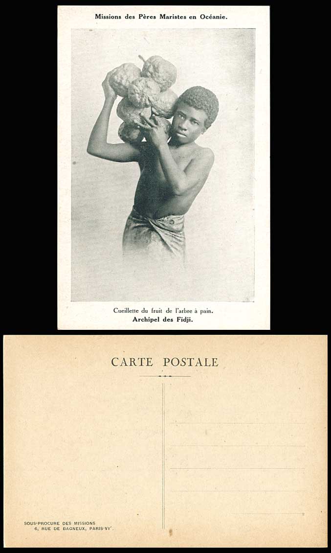 Fiji Old Postcard Native Fijian Boy Pick Fruit of Breadfruit Archipel des Fidji
