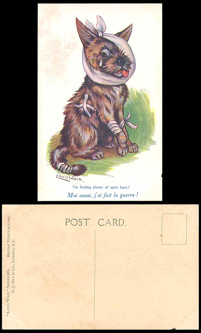 LOUIS WAIN Bandaged Dog Puppy, I'm Finding Plenty of Sport Here Old Postcard EJH