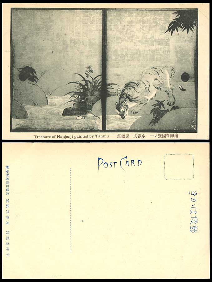 Japan Old ART Postcard Tiger Drinks Water from River Nanjenji Treasure by Tanniu