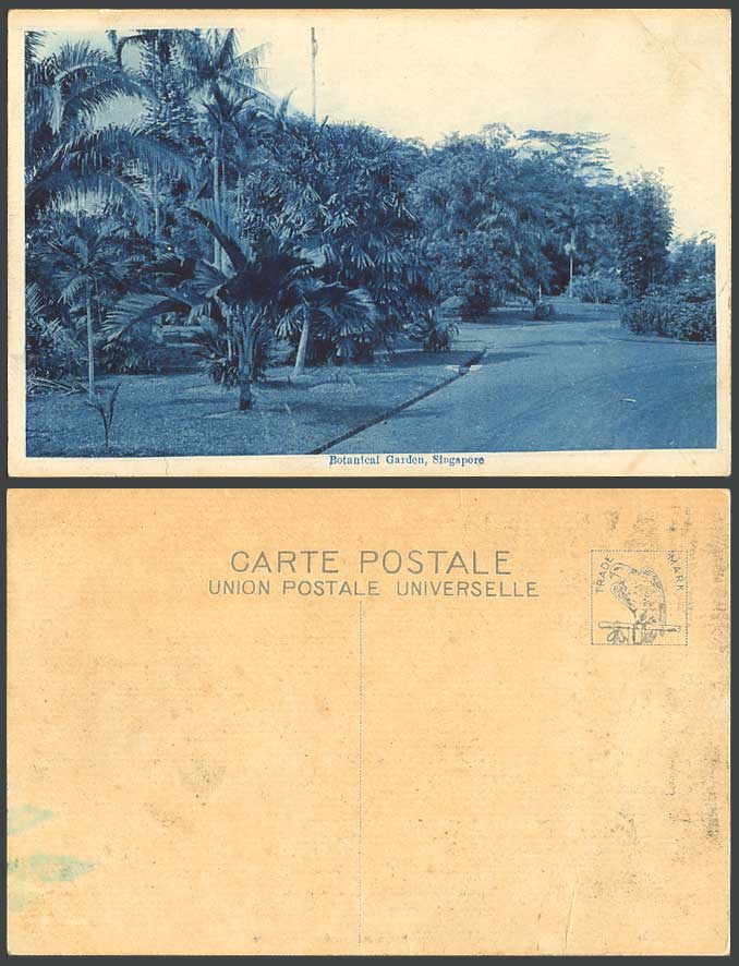 Singapore Old Postcard Botanical Garden Botanic Gardens Palm Trees Street Scene