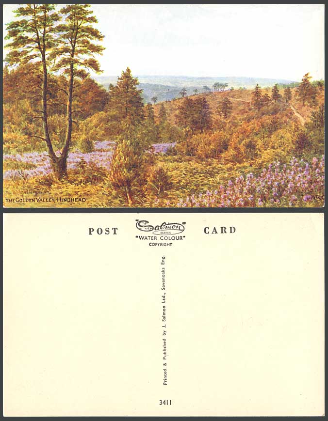 A.R.Q. Quinton Old Postcard The Golden Valley Hindhead, Flowers Panorama No.3411