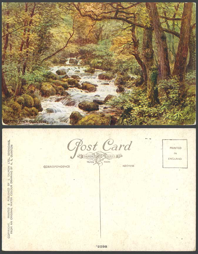 A.R. Quinton Old Postcard Torrent Walk, Dolgelley Merionethshire Wales ARQ 2298