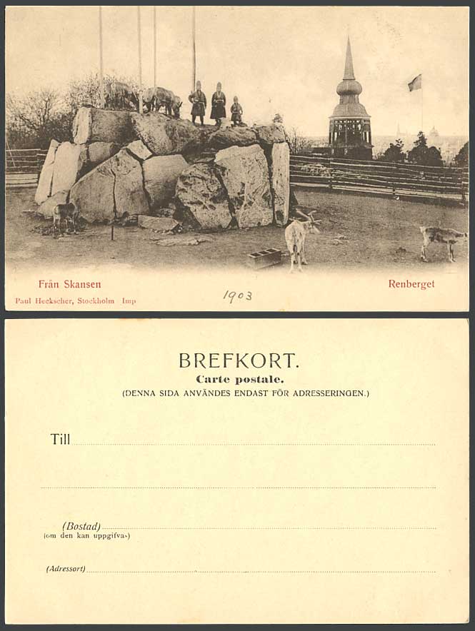 Sweden 1903 Old UB Postcard FRAN SKANSEN Renberget, Stag Deer Man Woman On Rocks