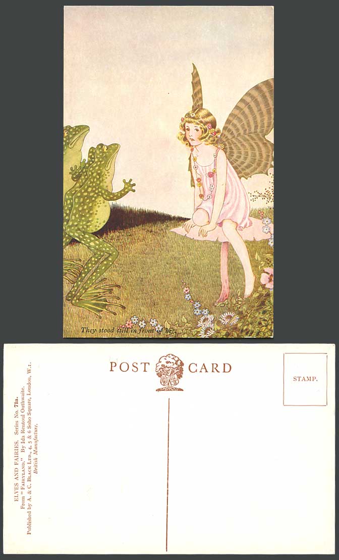 IR OUTHWAITE Old Postcard Fairyland Fairy FROGS They stood in Front of Her N.71a