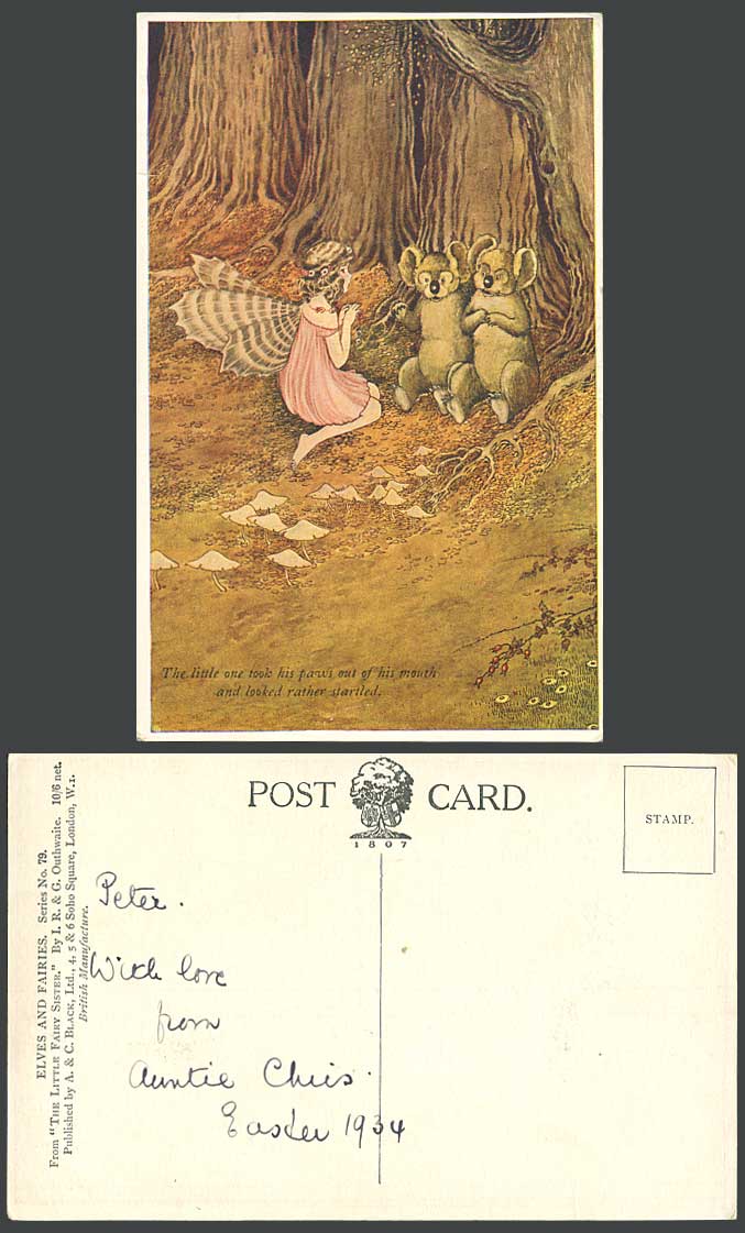 I R & G OUTHWAITE 1934 Old Postcard Koalas Took His Paws Out Little Fairy Sister