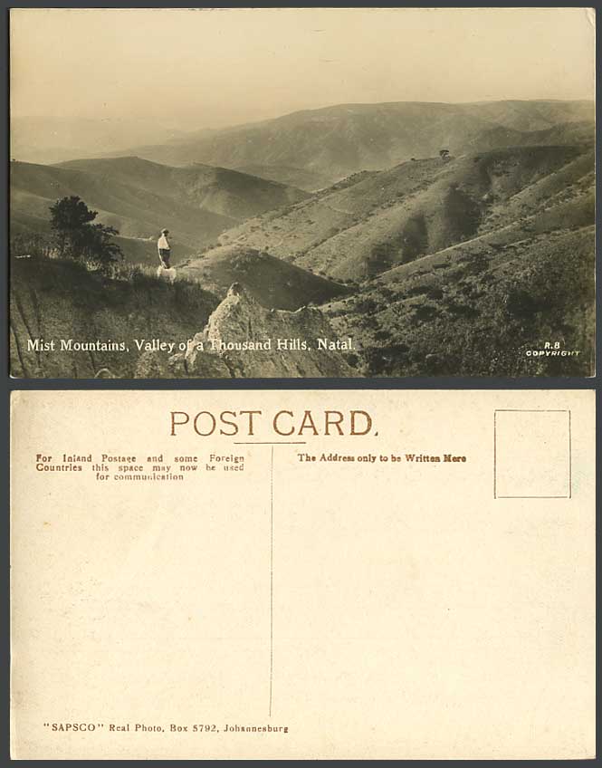 South Africa Mist Mountains Valley of a Thousand Hills NATAL Dog Old RP Postcard