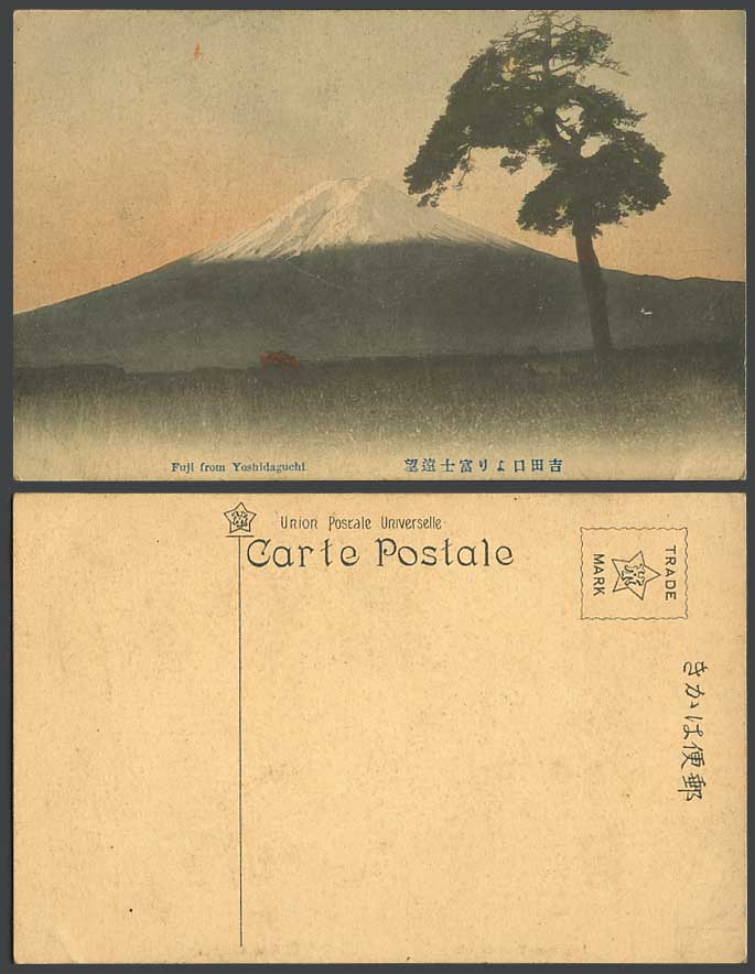 Japan Mount MT. FUJI from Yoshidaguchi Pine Tree Old Hand Tinted Colour Postcard