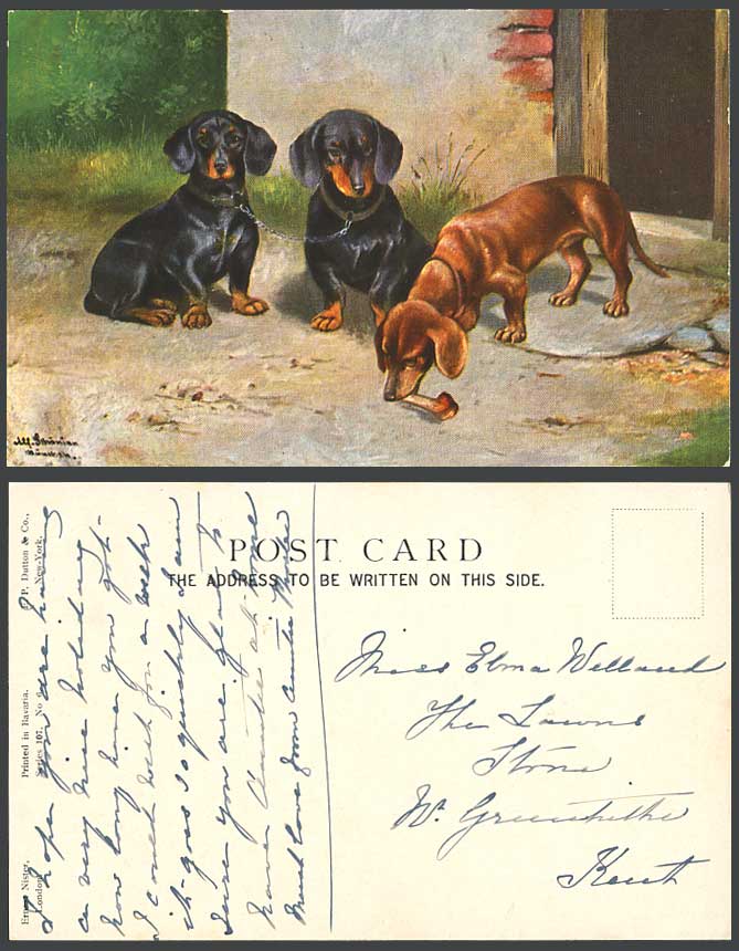 Dachshund German Sausage Dog Puppy Dogs Puppies Bone, Artist Signed Old Postcard