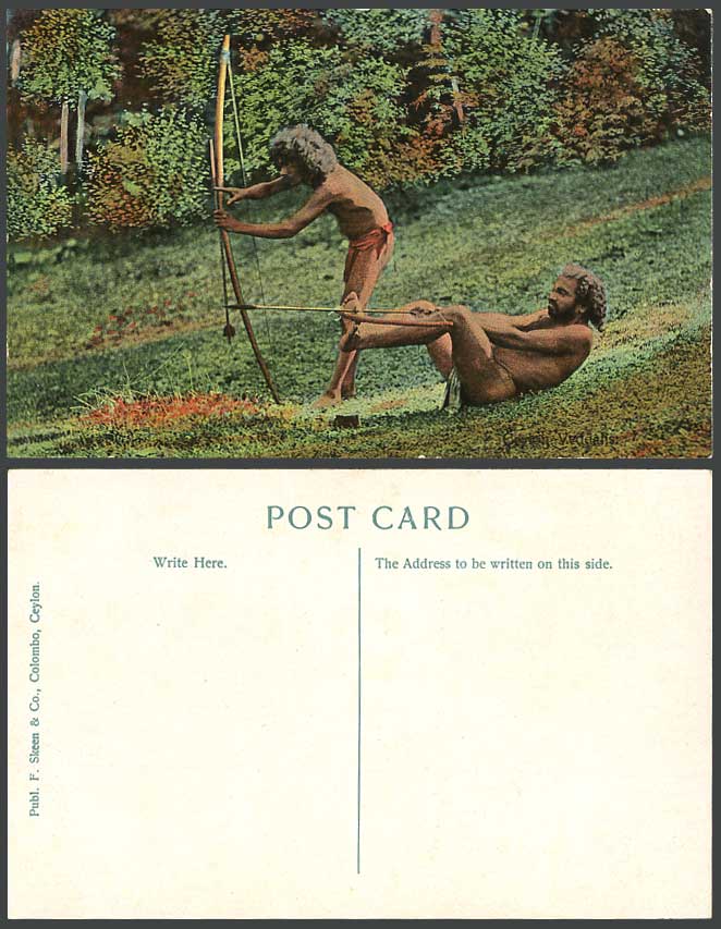 Ceylon Old Postcard VEDDAHS WILD MEN Shooting ARCHERY Native Hunters Bow & Arrow