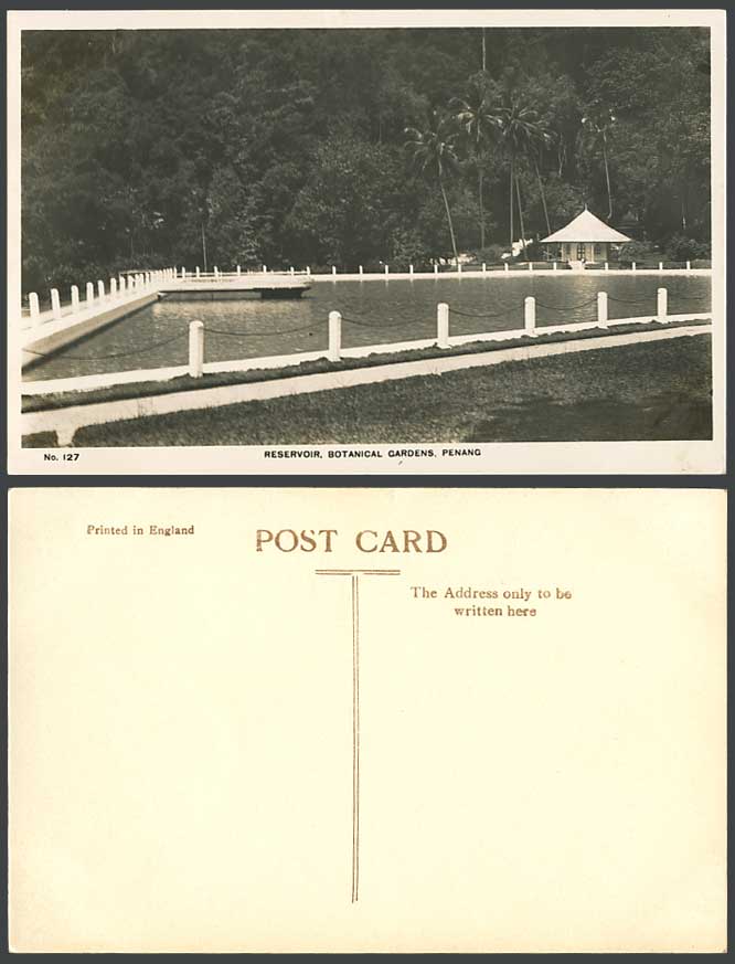 Penang Old Real Photo Postcard Reservoir Botanical Gardens, Botanic Garden Palms