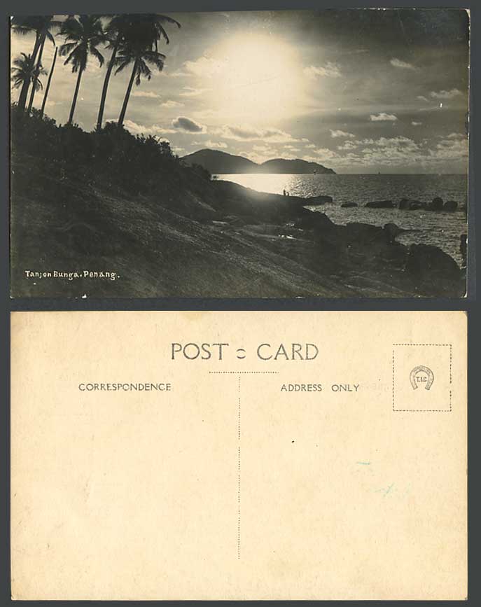 Penang, TANJONG BUNGAH Tanjon Bunga, Palm Trees, Seaside Old Real Photo Postcard