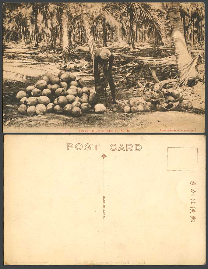 F.M.S. Native Worker Husking Coconuts, Federated Malay States Palms Old Postcard