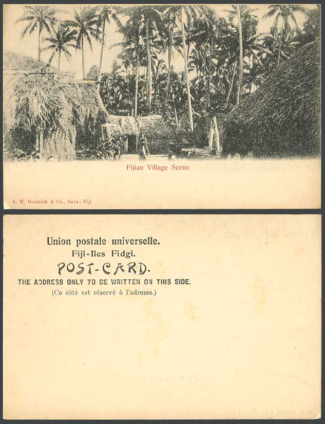 Fiji Old U.B. Postcard Fijian Village Scene Native Houses Huts Palm Trees Ethnic