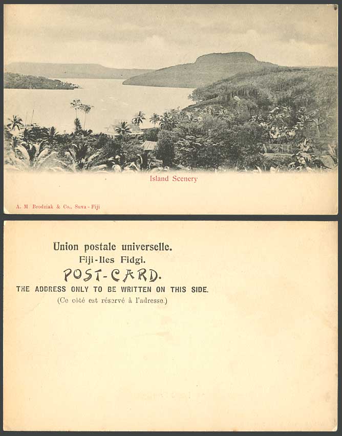 Fiji, Island Scenery Old U.B. Postcard Suva River Lake Hills Palm Trees Panorama