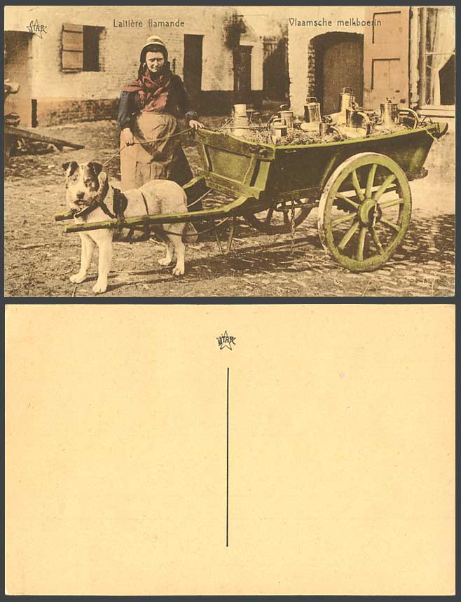 DOG CART, Flemish Dairy Farmer Milk-Maid Laitiere Flamande, Belgium Old Postcard