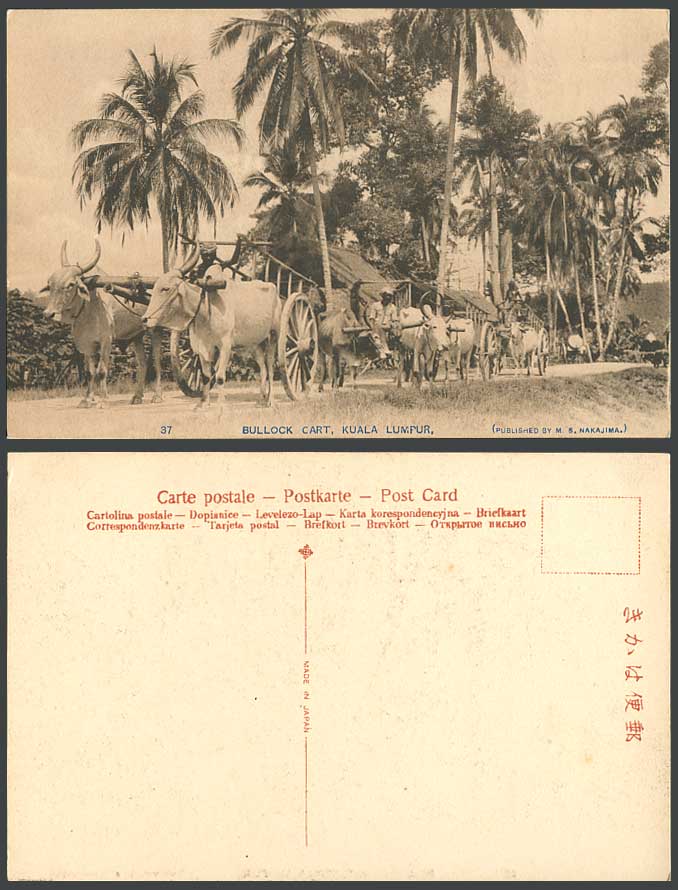 F.M.S. Malaya Kuala Lumpur Native Malay Double Bullock Cart & Palms Old Postcard