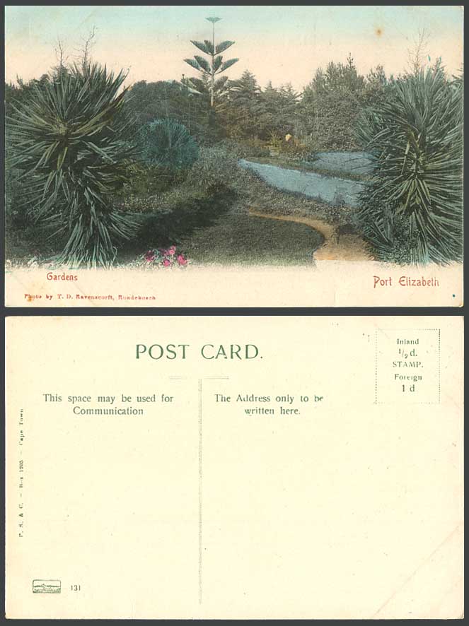 South Africa, Port Elizabeth, Gardens Garden Old Hand Tinted Colour Postcard 131