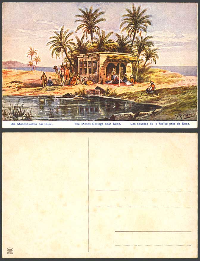 Egypt F. Perlberg Old Postcard The Moses Springs near Suez, Men & Camels Resting