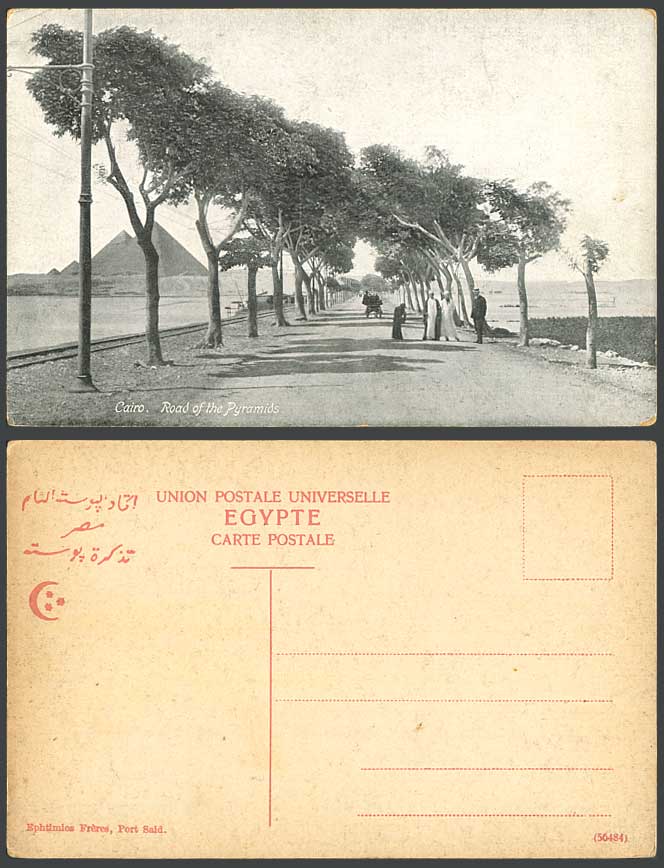 Egypt Old Postcard Cairo Road of The Pyramids Tree-Lined Street Scene, Pyramides
