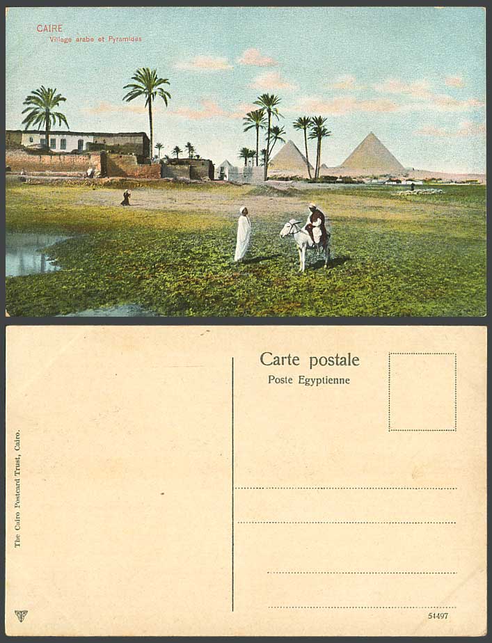 Egypt Old Postcard Cairo Arabe Arab Village Pyramids Pyramides Donkey Palm Trees