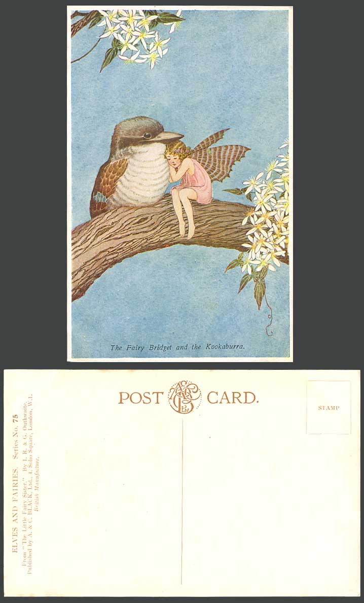 IR & G OUTHWAITE Old Postcard FAIRY BRIDGET KOOKABURRA Australian Bird Girl N.75