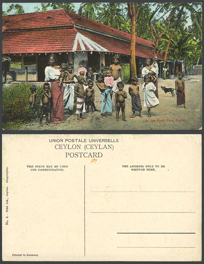Ceylon Old Colour Postcard Women Children Boys Girls Dog Puppy, Roadside Colombo