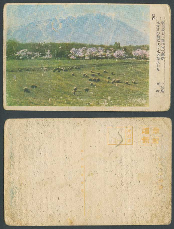 Japan Official Military Old Postcard Mt Fuji Cherry Blossoms Sheep 蝦夷富士牧遲櫻 一秋路南柯