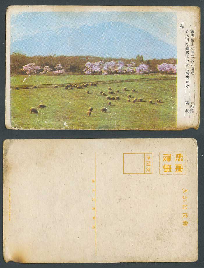 Japan Official Military Old Postcard Mount Mt Fuji Cherry Blossoms Sheep 蝦夷富士牧遲櫻