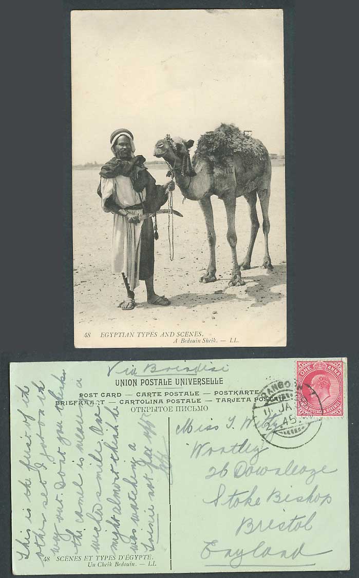 Egypt India KE7 1a 1909 Old Postcard A Beduin Sheik, Camel Cheik Bedouin L.L. 48
