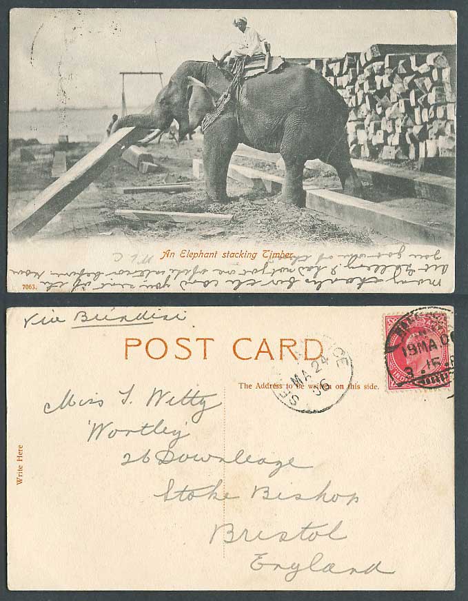India KE7 1a Rangoon Sea PO 1906 Old Postcard An Elephant Stacking Timber, Rider