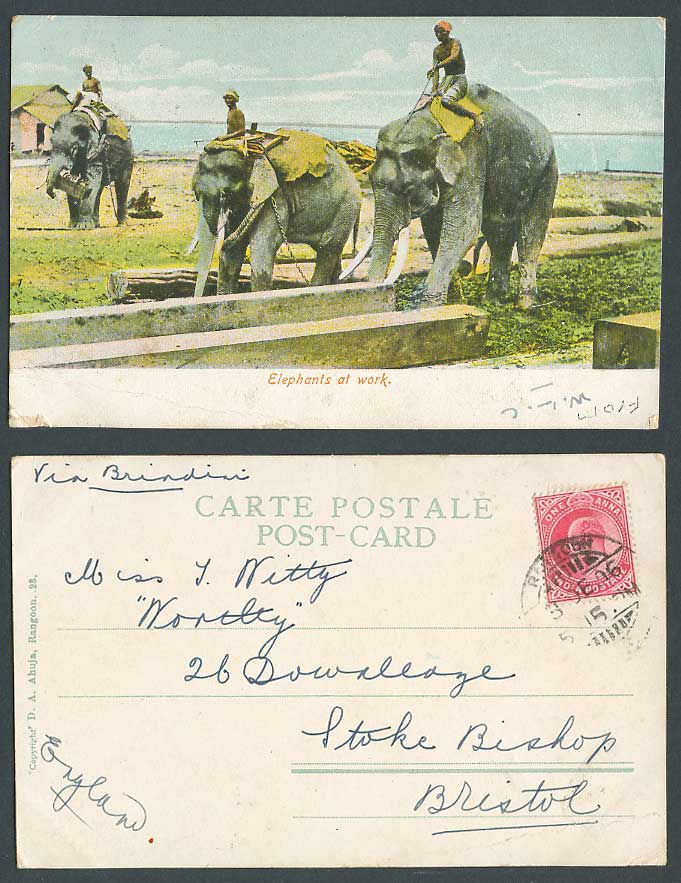 Burma India KE7 1a 1906 Old Postcard Elephants at Work, Burmese Natives Elephant