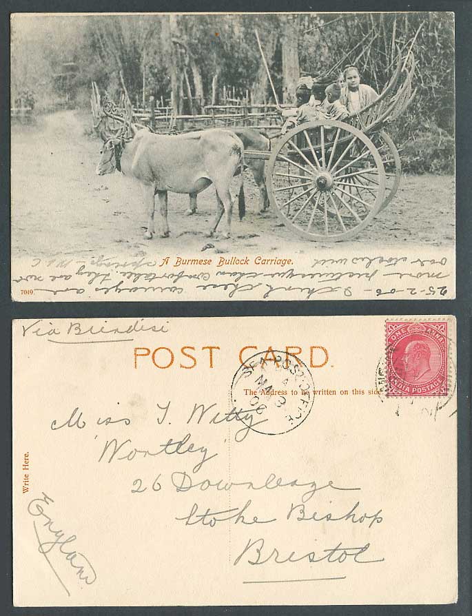 Burma India 1a Sea PO 1906 Old Postcard Burmese Bullock Carriage, Woman Children