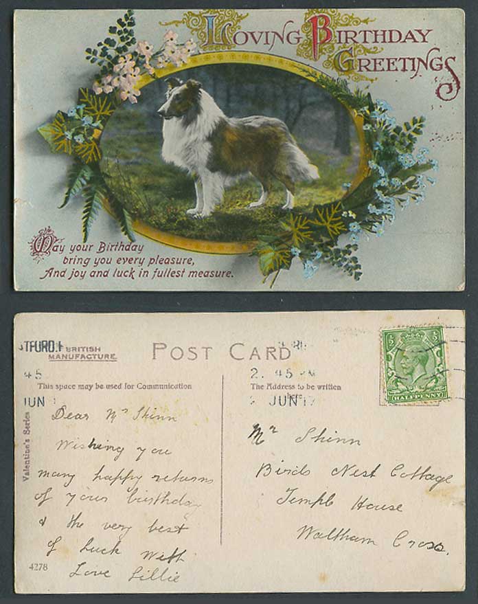 Collie Dog, Pet Animal, Flowers Loving Birthday Greetings 1917 Old Postcard 4278
