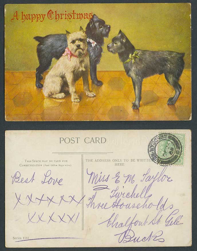 Dogs Puppies A Happy Christmas 1908 Old Postcard Dog Puppy Pet Animals Art Drawn