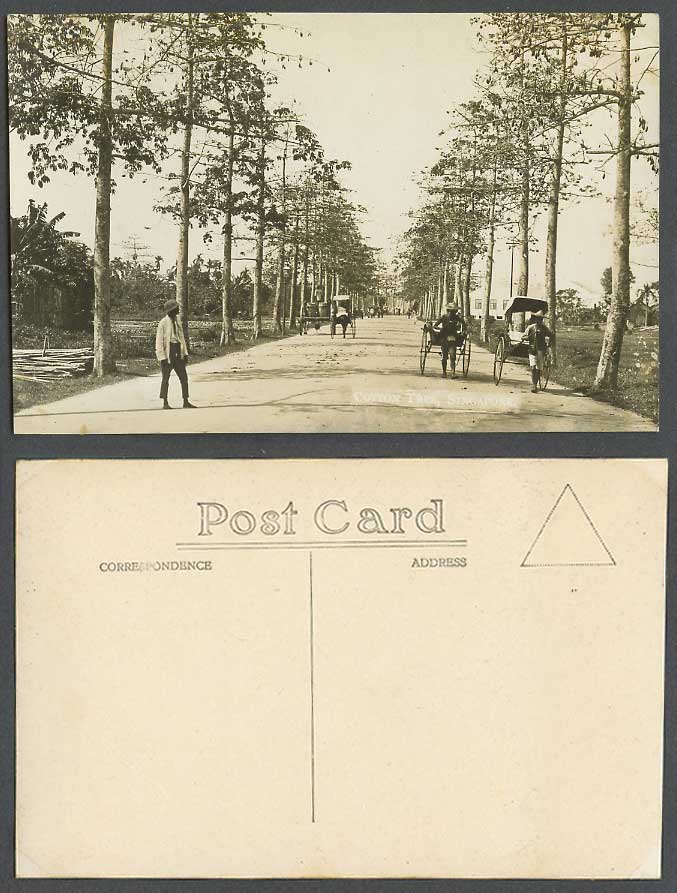 Singapore Old Real Photo Postcard Cotton Tree Street Scene, Rickshaw and Coolies