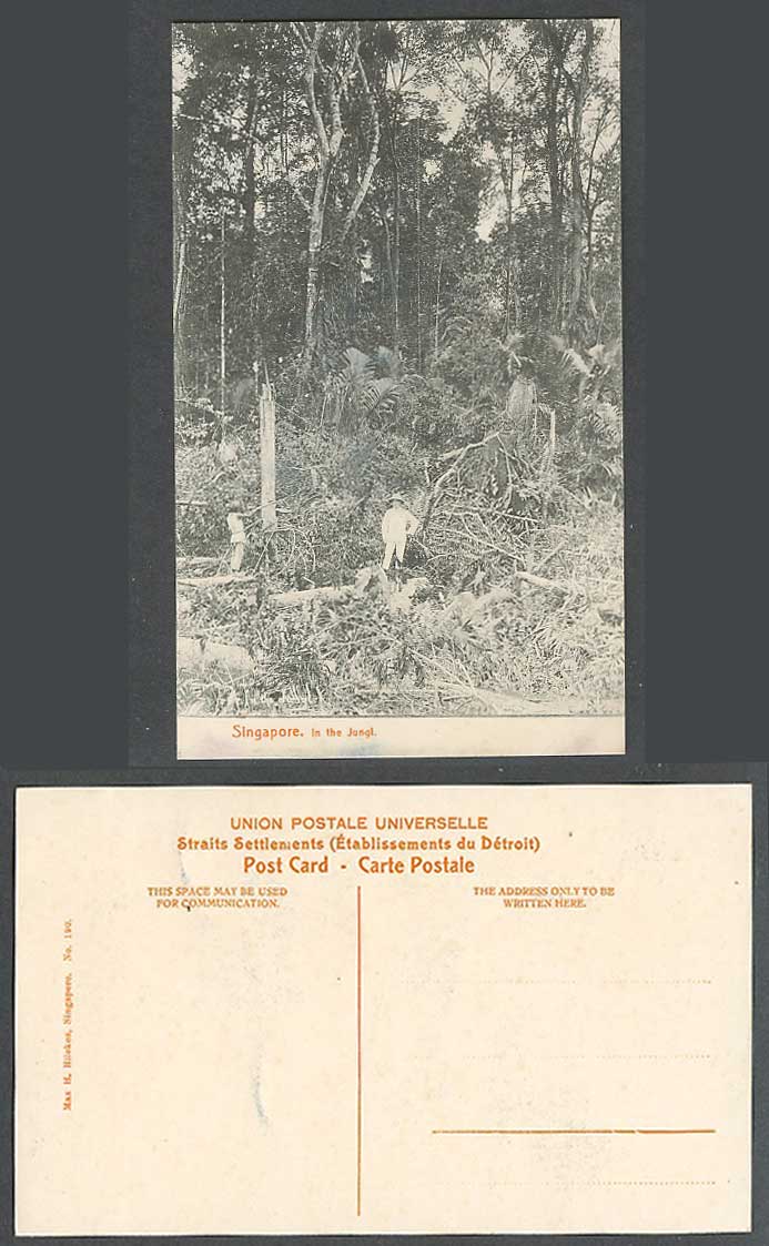 Singapore Old Postcard Malay Worker Working in The Jungl. Jungle Cutting a Tree