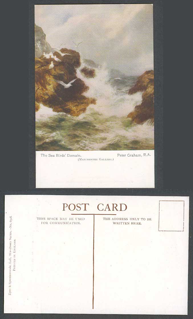 Peter Graham RA, The Sea Birds' Domain Manchester Gallery Rough Sea Old Postcard