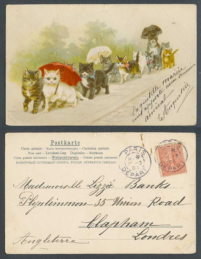 Cat Kitten Cats Kittens Umbrella Parasol, by Helena Maguire 1904 Old UB Postcard