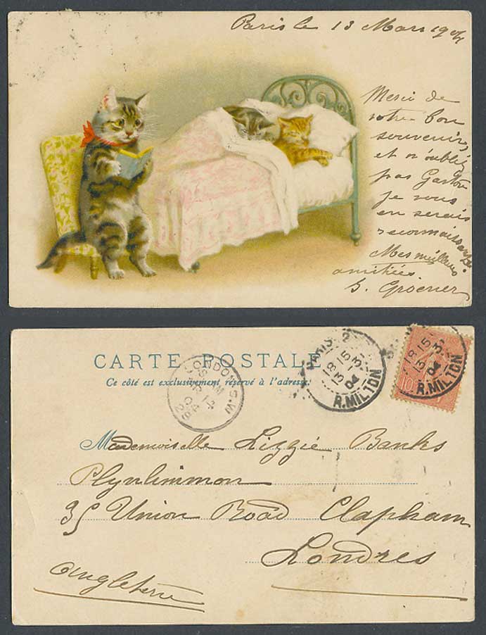 Louis Wain Style Cat Kitten Reading a Book Cats Kittens Bed 1904 Old UB Postcard